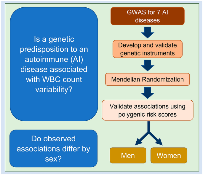 Genetic susceptibility for autoimmune diseases and white blood cell count |  Scientific Reports