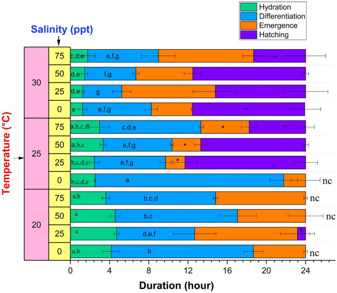 Image: Artemia salina (brine shrimp) - Math Insight