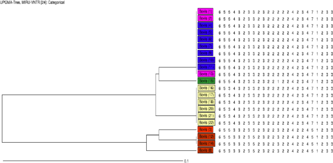Genotyping of Mycobacterium tuberculosis complex isolated from humans and  animals in northeastern Iran