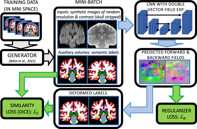 Journal of Magnetic Resonance Imaging: Vol 55, No 1