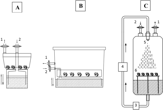 Bioreaction, Plant Oil Extraction