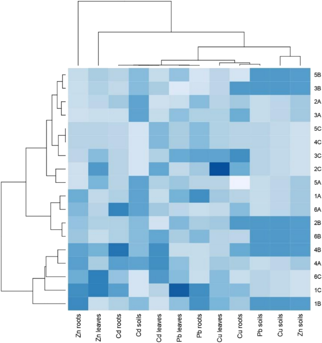 Common weeds as heavy metal bioindicators: a new approach in biomonitoring