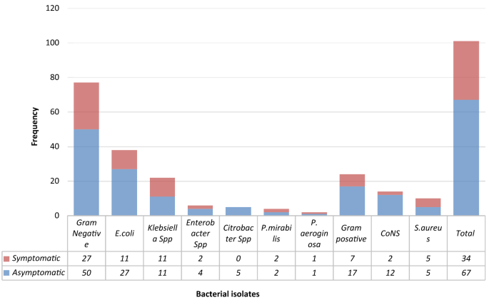 Prevalence and antimicrobial susceptibility pattern of urinary tract  infection among pregnant women attending Hargeisa Group Hospital, Hargeisa,  Somaliland