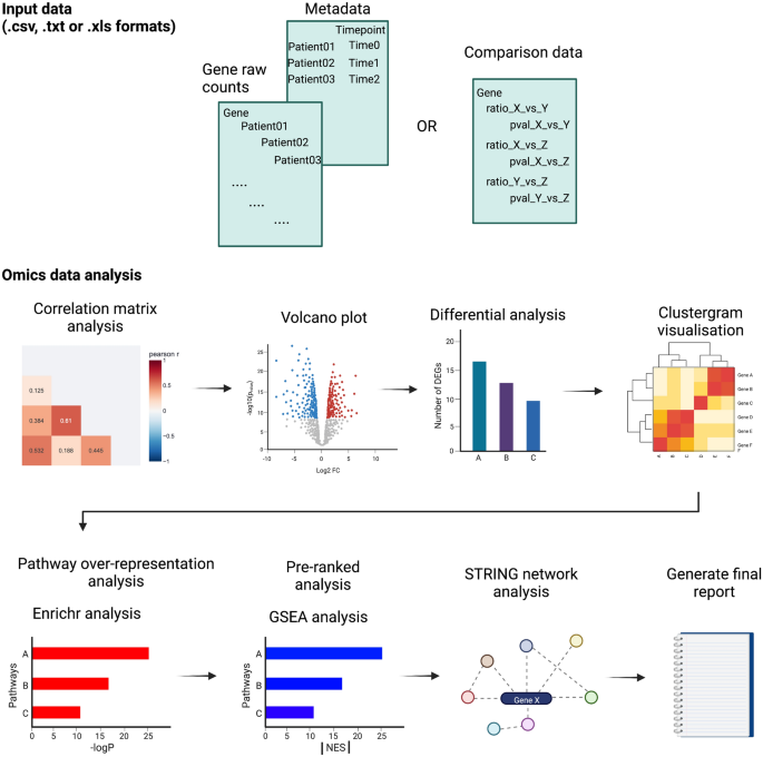 STAGEs: A web-based tool that integrates data visualization and pathway  enrichment analysis for gene expression studies | Scientific Reports