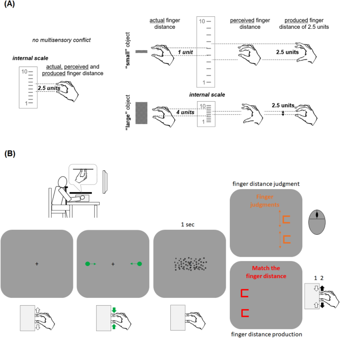Changes in body perception following virtual object manipulation 