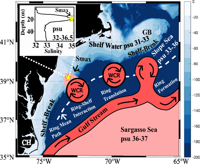 Increased gulf stream warm core ring formations contributes to an observed  increase in salinity maximum intrusions on the Northeast Shelf