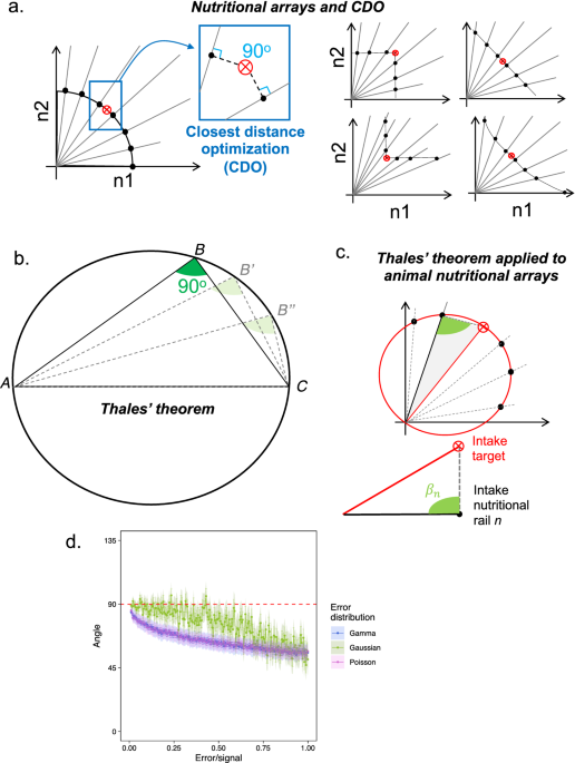Nutrigonometry IV: Thales’ theorem to measure the rules of dietary compromise in animals