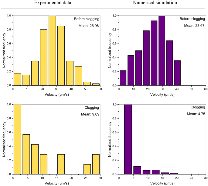 Experimental and numerical investigation of polymer pore-clogging in  micromodels