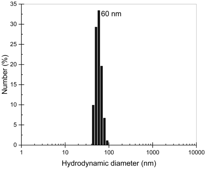 Experimental and numerical investigation of polymer pore-clogging in  micromodels