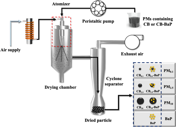 Assessing the cytotoxicity of aerosolized carbon black and benzo[a]pyrene with controlled physical and chemical properties on human lung epithelial cells - Scientific Reports