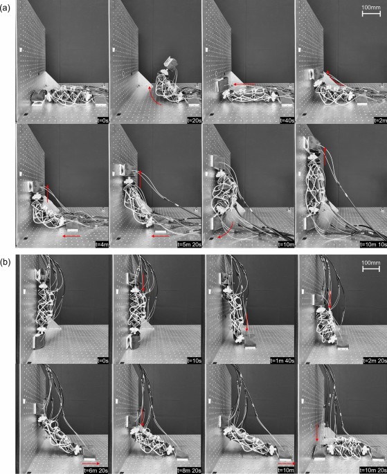 Soft Rod-Climbing Robot Inspired by Winding Locomotion of Snake