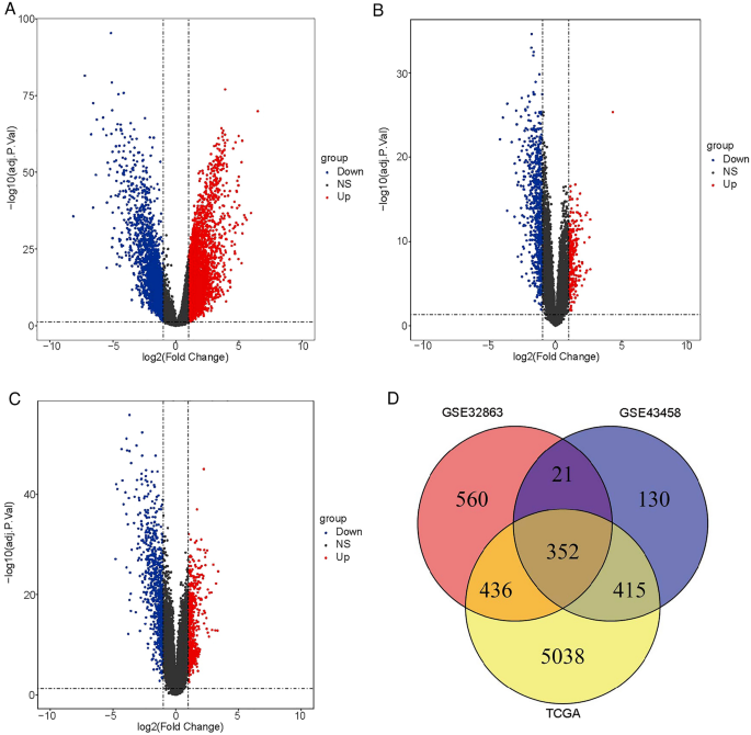 Drug resistance related genes in lung adenocarcinoma predict 