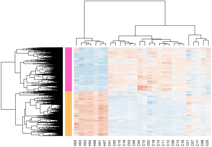 Identification of molecular mechanisms causing skin lesions of ... - Nature.com