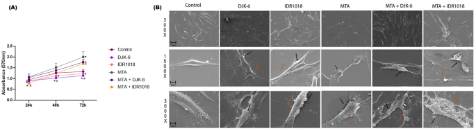 Host defense peptides combined with MTA extract increase the