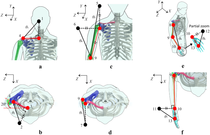 Upper limb modeling and motion extraction based on multi-space