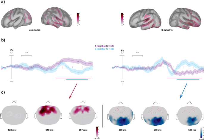 Long-epoch averages showing the ERPs elicited by sequential words