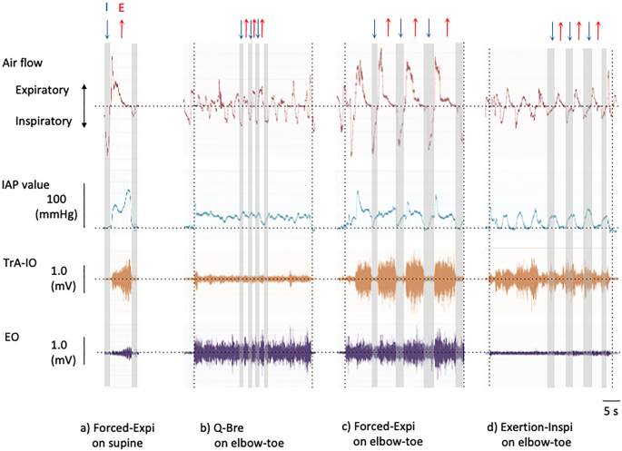 Influence of the breathing pattern on the pulmonary function of  endurance-trained athletes