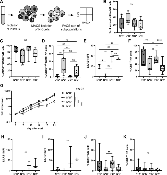 The NK cell checkpoint NKG2A maintains expansion capacity of human