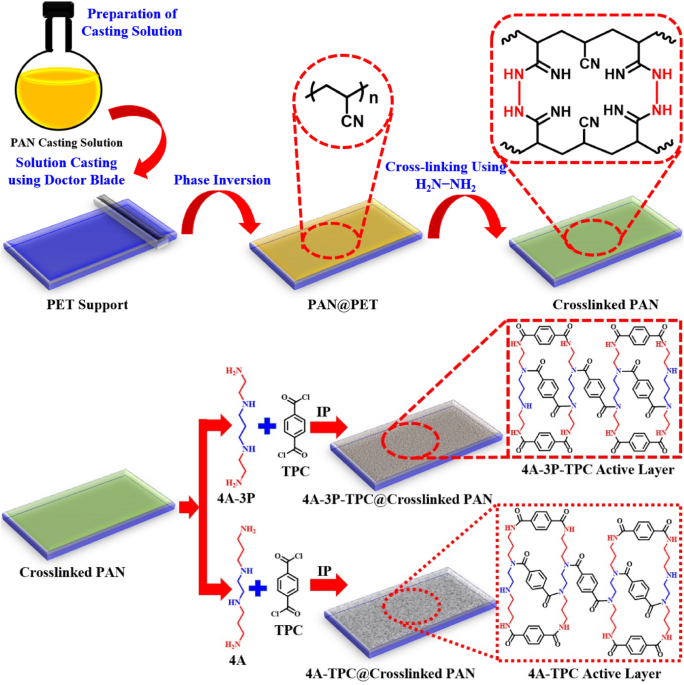 Fabrication of polyamide thin film composite membranes using ... - Nature.com