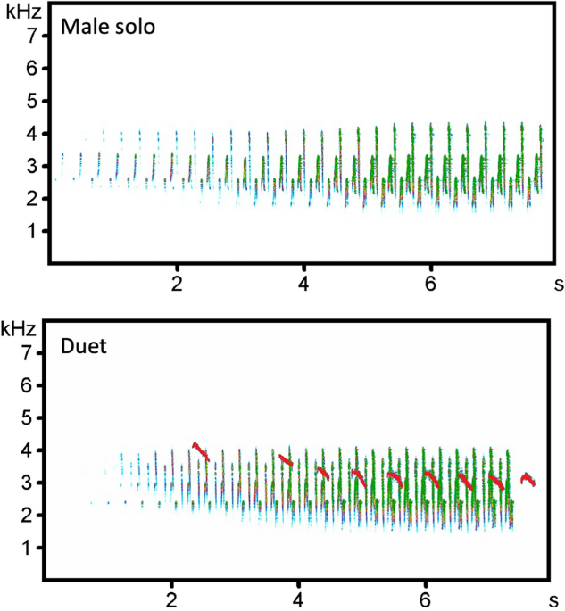 Blue tits have more mating success when males perform a variety of songs •