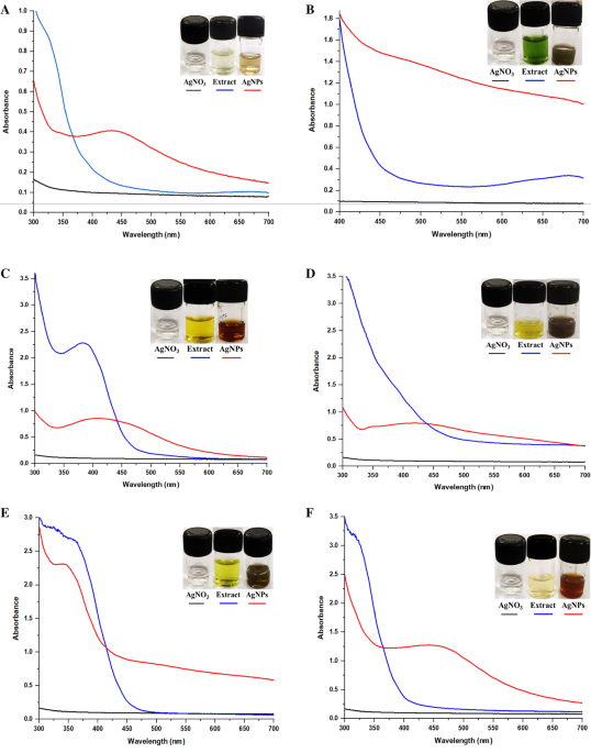 Synthesis and characterization of keratinase laden green ... - Nature.com