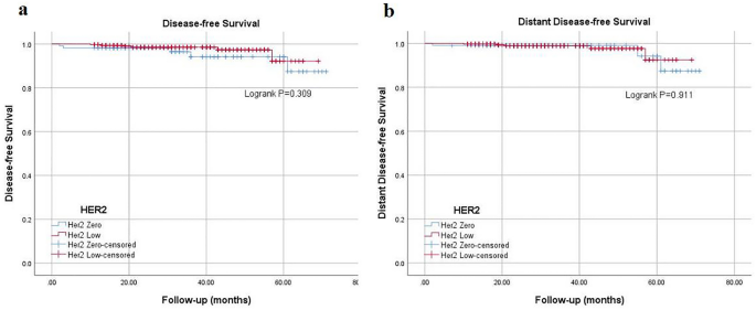 Clinicopathological Characteristics and Prognosis of 91 Patients