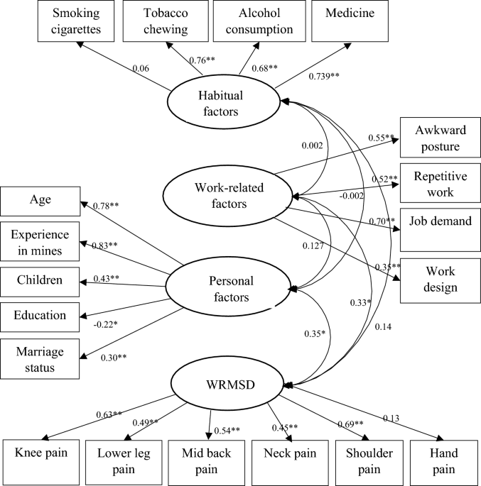 Structural equation modelling of work related musculoskeletal disorders among dumper operators