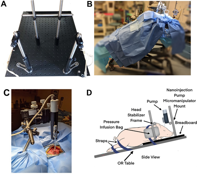 https://media.springernature.com/m685/springer-static/image/art%3A10.1038%2Fs41598-023-40638-z/MediaObjects/41598_2023_40638_Fig1_HTML.png