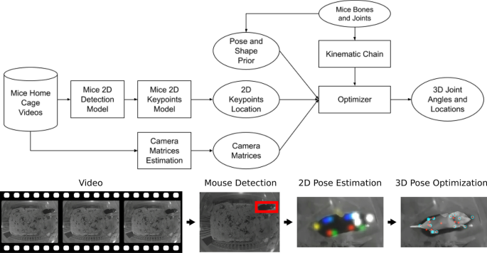 a 3D imaging of mouse pose dynamics. MoSeq uses depth cameras to image