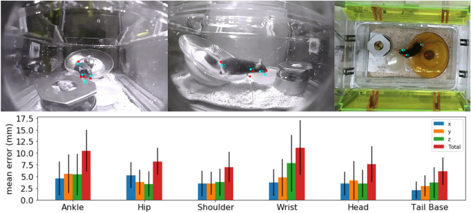 3D mouse pose from single-view video and a new dataset