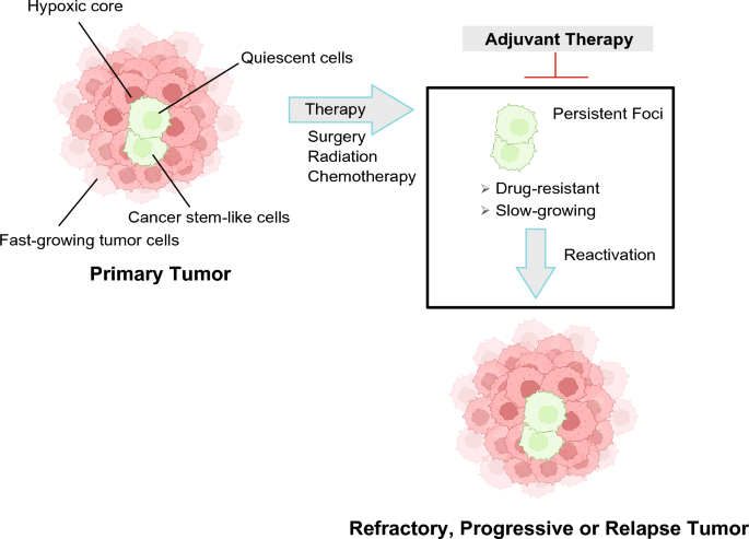 Non-chemotherapy adjuvant agents in TP53 mutant Ewing sarcoma ... - Nature.com