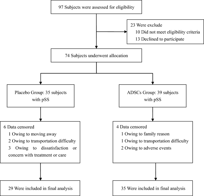 Effect of adipose tissue-derived stem cells therapy on clinical 