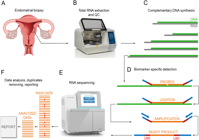 Targeted gene expression profiling for accurate endometrial ... - Nature.com