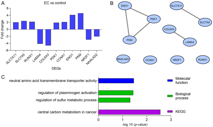 Identification and subsequent validation of transcriptomic signature ... - Nature.com