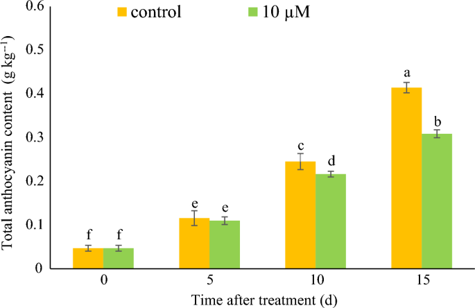 Exogenous melatonin delays strawberry fruit ripening by suppressing endogenous ABA signaling