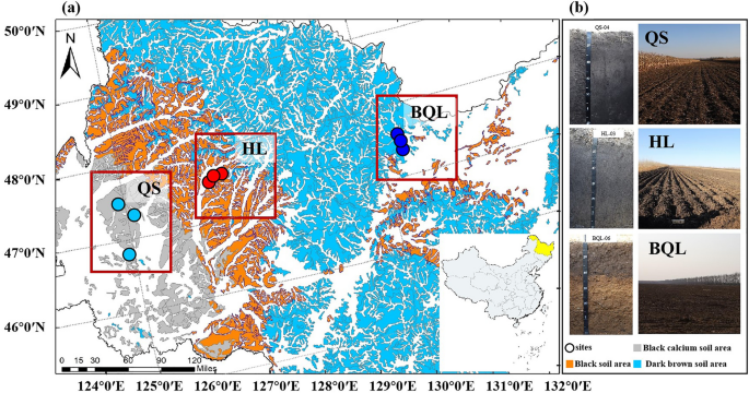 Pedogenesis of typical zonal soil drives belowground bacterial ... - Nature.com