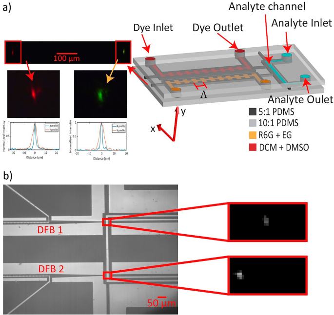 Dual optofluidic distributed feedback dye lasers for multiplexed biosensing  applications | Scientific Reports