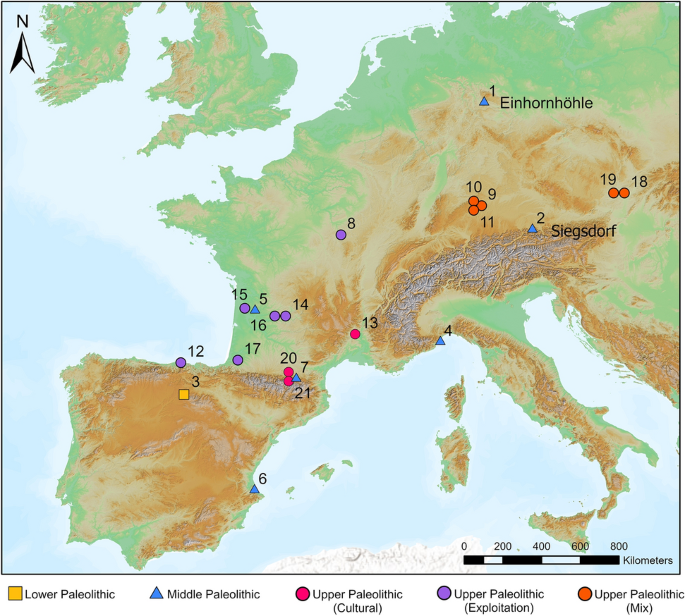 Geologic Times — Cave Lion