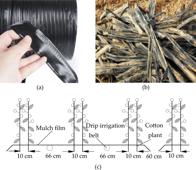 Aging characteristics of drip irrigation belt in Xinjiang cotton fields and  their effects on its recovery and recycling