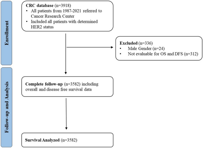 Current Oncology, Free Full-Text