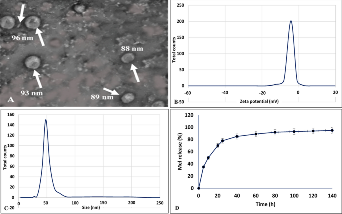 Cytotoxicity of BAL1 (Left) and cell survival rate after UVA damage