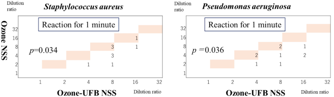 Novel intrathoracic irrigation using ultrafine ozone bubbles in a rat ... - Nature.com