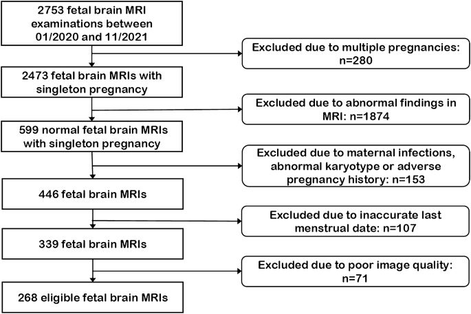 Use of MRI in the diagnosis of fetal brain abnormalities in utero  (MERIDIAN): a multicentre, prospective cohort study - The Lancet