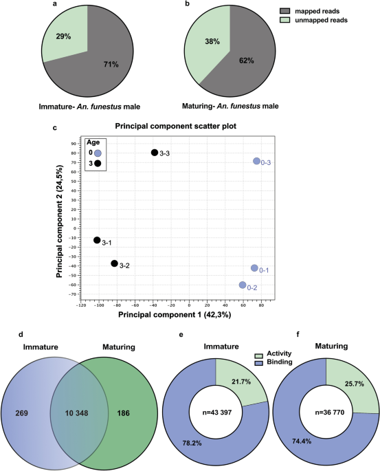 Data-driven networking of global transcriptomics and male sexual development in the main malaria vector, anopheles funestus