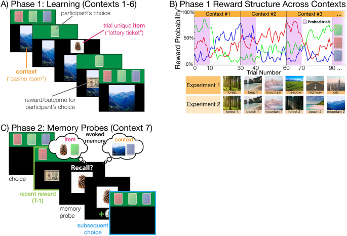 Memory precision and age differentially predict the use of 