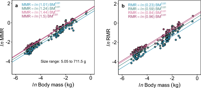 Body temperature is a more important modulator of lifespan than metabolic  rate in two small mammals