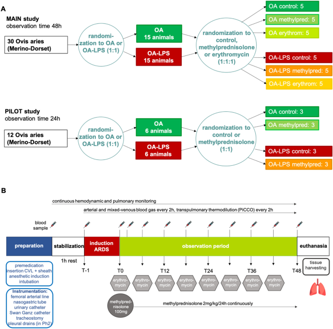 Application of anti-inflammatory treatment in two different ovine Acute Respiratory Distress Syndrome injury models: a preclinical randomized intervention study - Scientific Reports