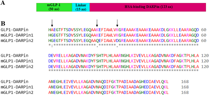 glp-1 peptide sequence Designing and computational analyzing of chimeric long-lasting GLP-1  receptor agonists for type 2 diabetes