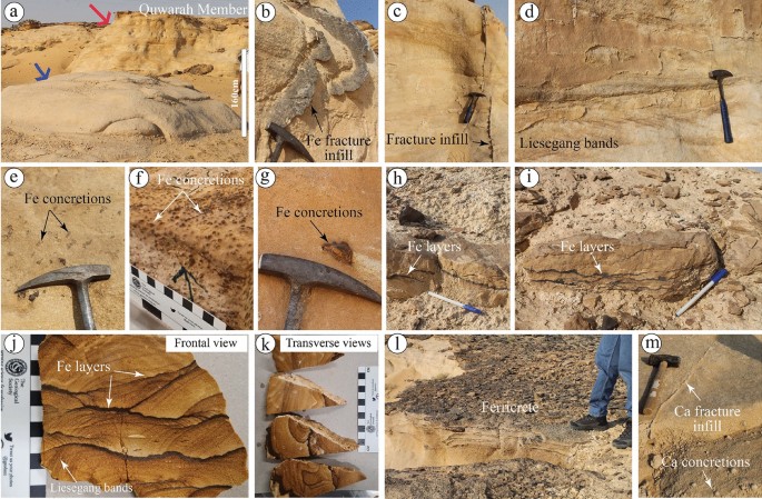 Facies within the Earlie Formation. A) Interbedded sandstone and