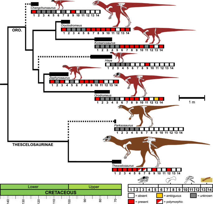 New dinosaur find part of previously unknown level of dino diversity in the  Southwest